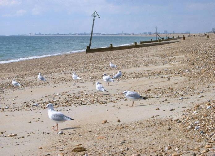 Newtown House Hotel South Hayling Dış mekan fotoğraf